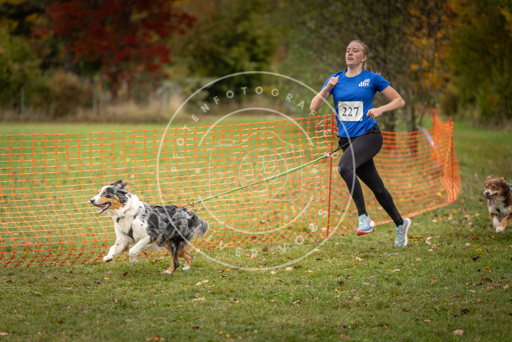 Pfotenfotografie_DV3A4683 | Hundefotografie, Tierfotograf, Pfotenfotografie, Fotoshooting Hund, Hunde Portrait, Hundesport, Hundeportraits, Heideshooting, Hunde, Sportfotograf, Hundefotograf, Turnierhundsport, THS,  - Realisiert mit Pictrs.com