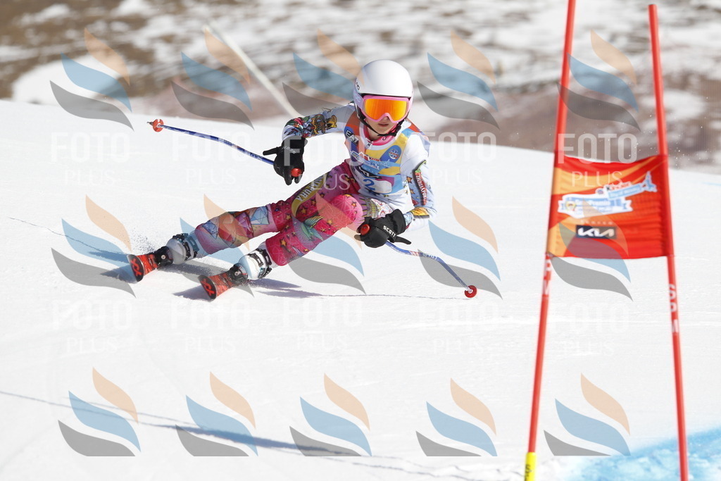 _U3G8506 | holidayphoto