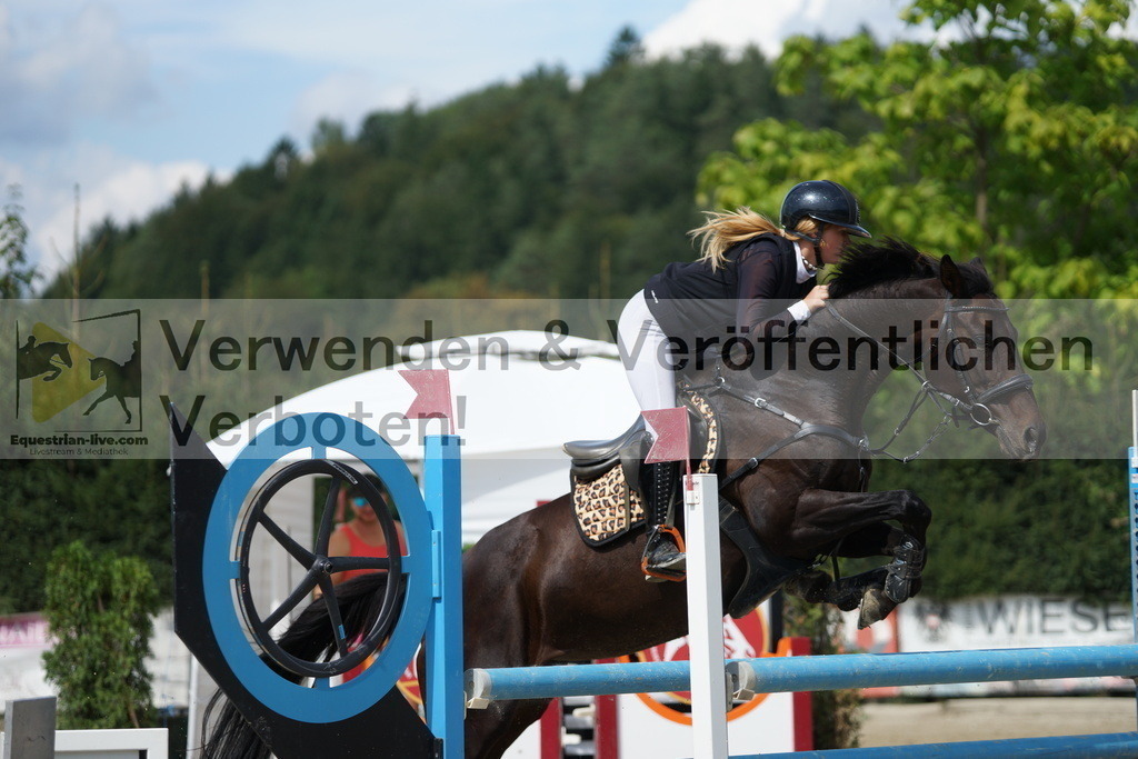 DSC00080 | equestrian-live-com