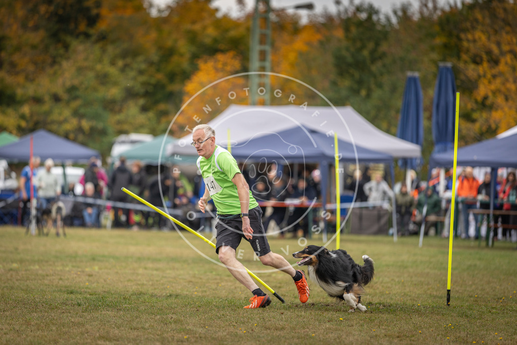Pfotenfotografie_DV3A6503 | Hundefotografie, Tierfotograf, Pfotenfotografie, Fotoshooting Hund, Hunde Portrait, Hundesport, Hundeportraits, Heideshooting, Hunde, Sportfotograf, Hundefotograf, Turnierhundsport, THS,  - Realisiert mit Pictrs.com