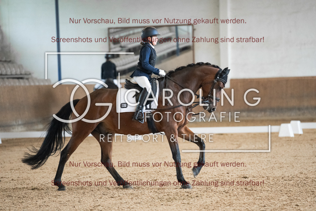 DSC01751 | Reitturnier_Göppingen_April_2026, Leila_Scharpf, Tennessee_MW