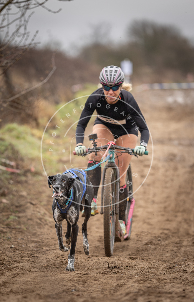DV3A9563 | Hundefotografie, Tierfotograf, Pfotenfotografie, Fotoshooting Hund, Hunde Portrait, Hundesport, Hundeportraits, Heideshooting, Hunde, Sportfotograf, Hundefotograf, Turnierhundsport, THS,  - Realisiert mit Pictrs.com