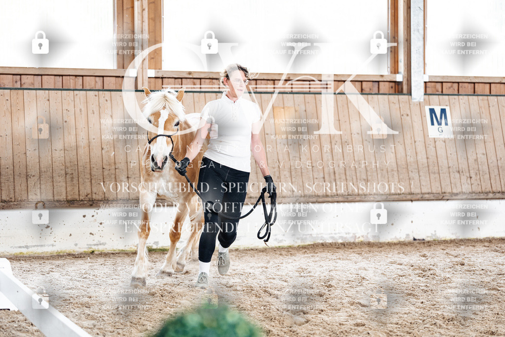 CK908603 | Turnierfotografie Pferdefotografie Trier Rheinland-Pfalz Pferdesport Reitsport Tierfotografie Sportfotografie Pferdevideo Pferdevideografie Equestrianvideography equestrianphotography  - Realisiert mit Pictrs.com