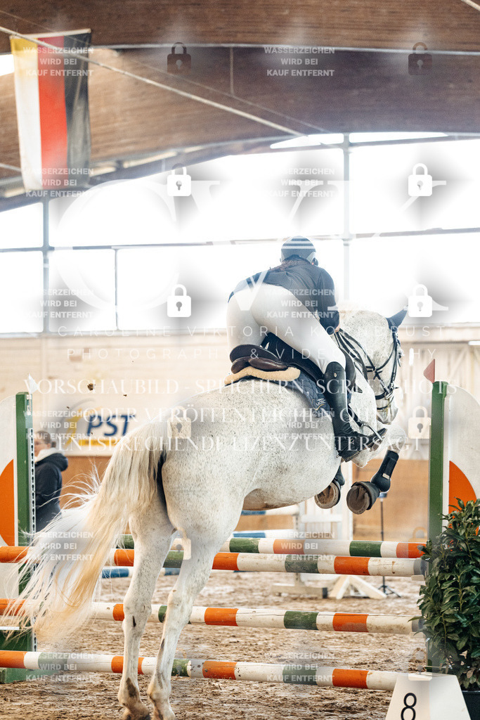 CK904491 | Turnierfotografie Pferdefotografie Trier Rheinland-Pfalz Pferdesport Reitsport Tierfotografie Sportfotografie Pferdevideo Pferdevideografie Equestrianvideography equestrianphotography  - Realized with Pictrs.com