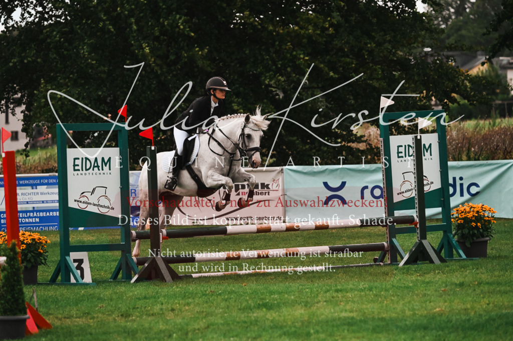 DSC_6183 | Pferde- und Turnierfotografie in Westsachsen. Pferdeportraits, Auftragszeichnungen und intuitive Kunst.