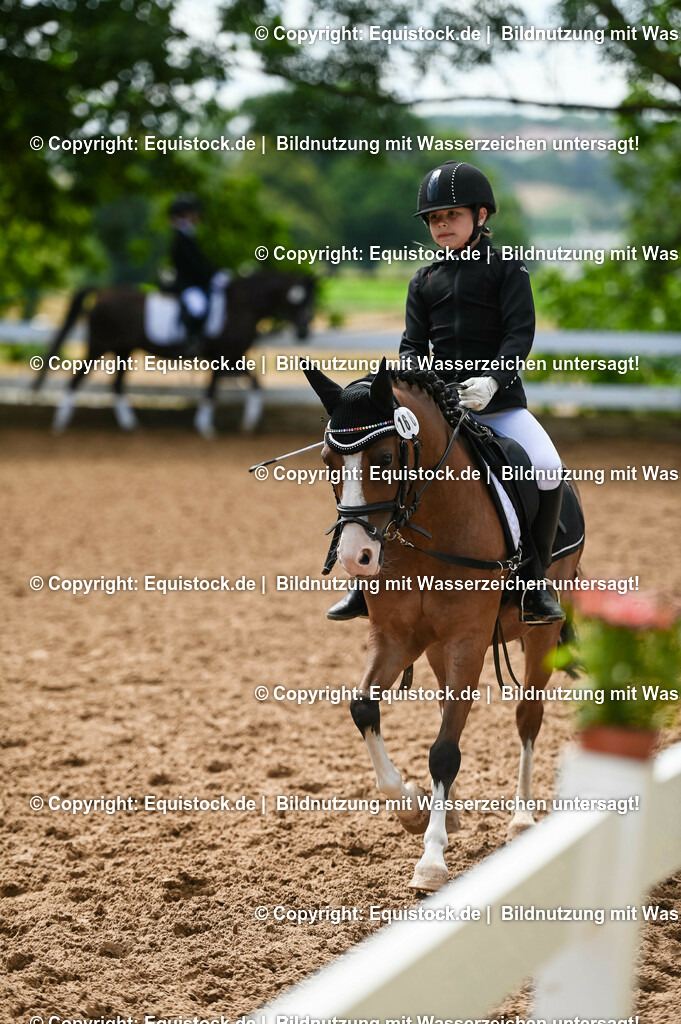 20230716_10-3_Reiter-WB Schritt - Trab - Galopp_0154 | equistock