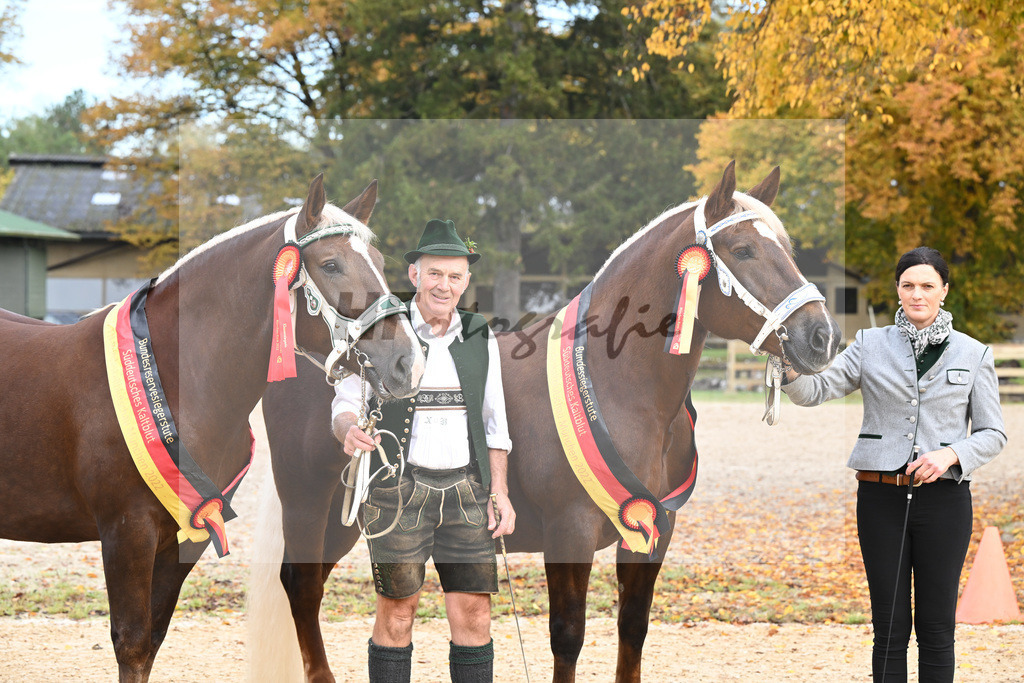 Siegerstuten_Buechl_Bachmair_53222976 | hf-fotografie - Realizzato con Pictrs.com