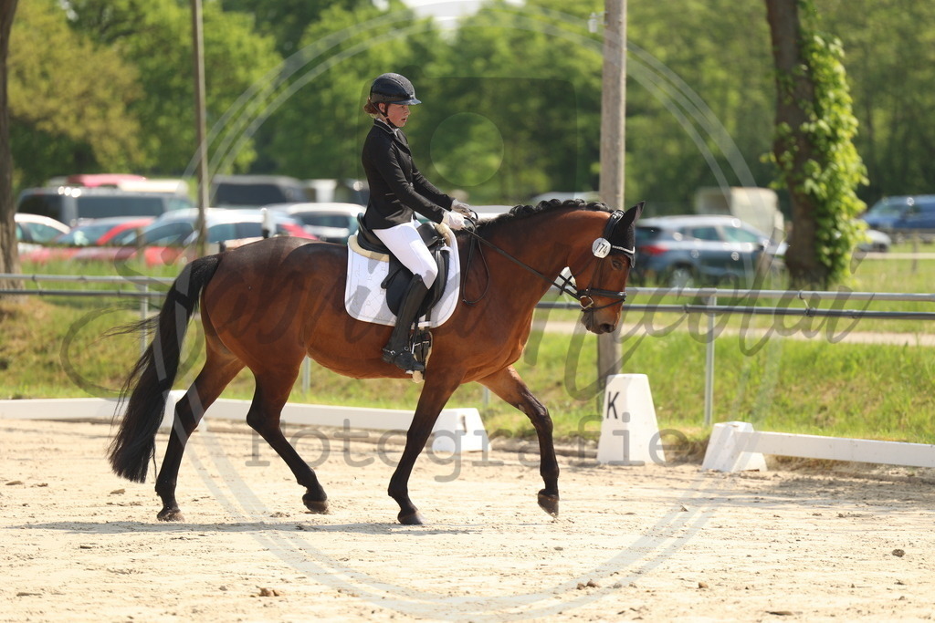 994A7116 | sabrinanicolaifotografie - Realisiert mit Pictrs.com