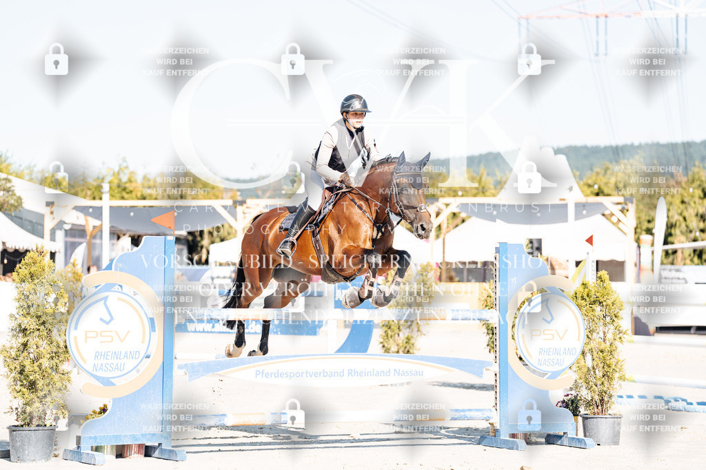 CK904569 | Turnierfotografie Pferdefotografie Trier Rheinland-Pfalz Pferdesport Reitsport Tierfotografie Sportfotografie Pferdevideo Pferdevideografie Equestrianvideography equestrianphotography  - Realisiert mit Pictrs.com
