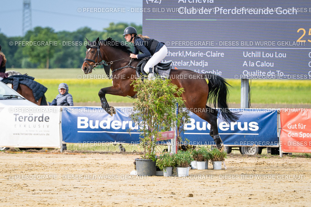 DSC03704 | Pferdegrafie