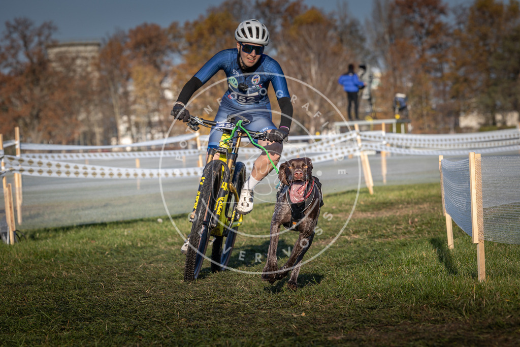 CaniXpix_0L8A4414 | Hundefotografie, Tierfotograf, Pfotenfotografie, Fotoshooting Hund, Hunde Portrait, Hundesport, Hundeportraits, Heideshooting, Hunde, Sportfotograf, Hundefotograf, Turnierhundsport, THS,  - Realisiert mit Pictrs.com