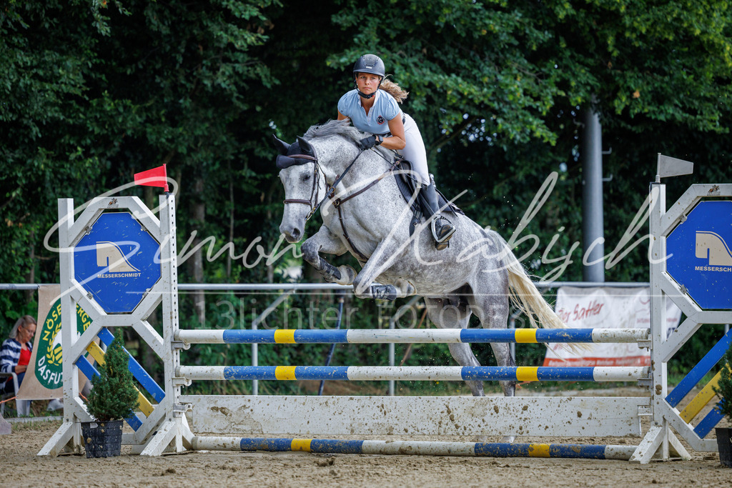 20260705-_3LI5014 | Tierfotografie Pferde, Hunde, Katzen, Haustiere.
Turnierfotografie Reitturniere, Reiten, Springreiten, Dressur in Hanau, dem Main-Kinzig-Kreis und dem Rhein-Main- Gebiet um Frankfurt