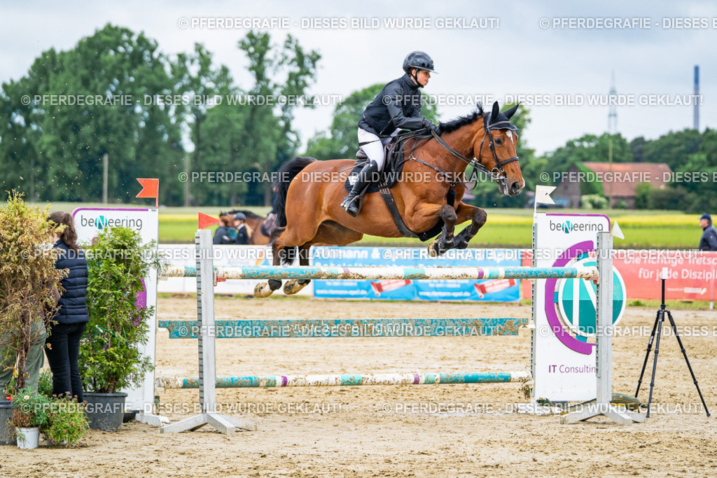 DSC04314 | Pferdegrafie