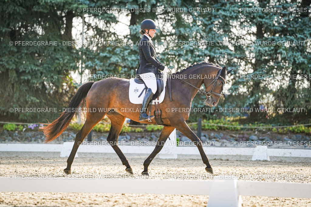 DSC08252 | Pferdegrafie