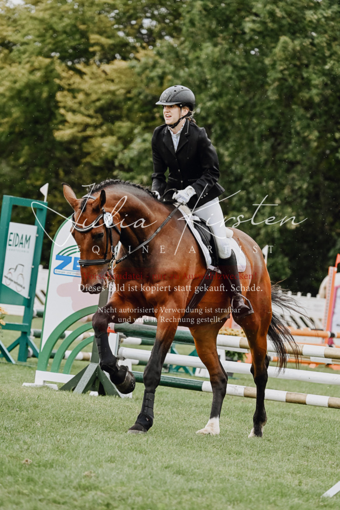 DSC_7034 | Pferde- und Turnierfotografie in Westsachsen. Pferdeportraits, Auftragszeichnungen und intuitive Kunst.