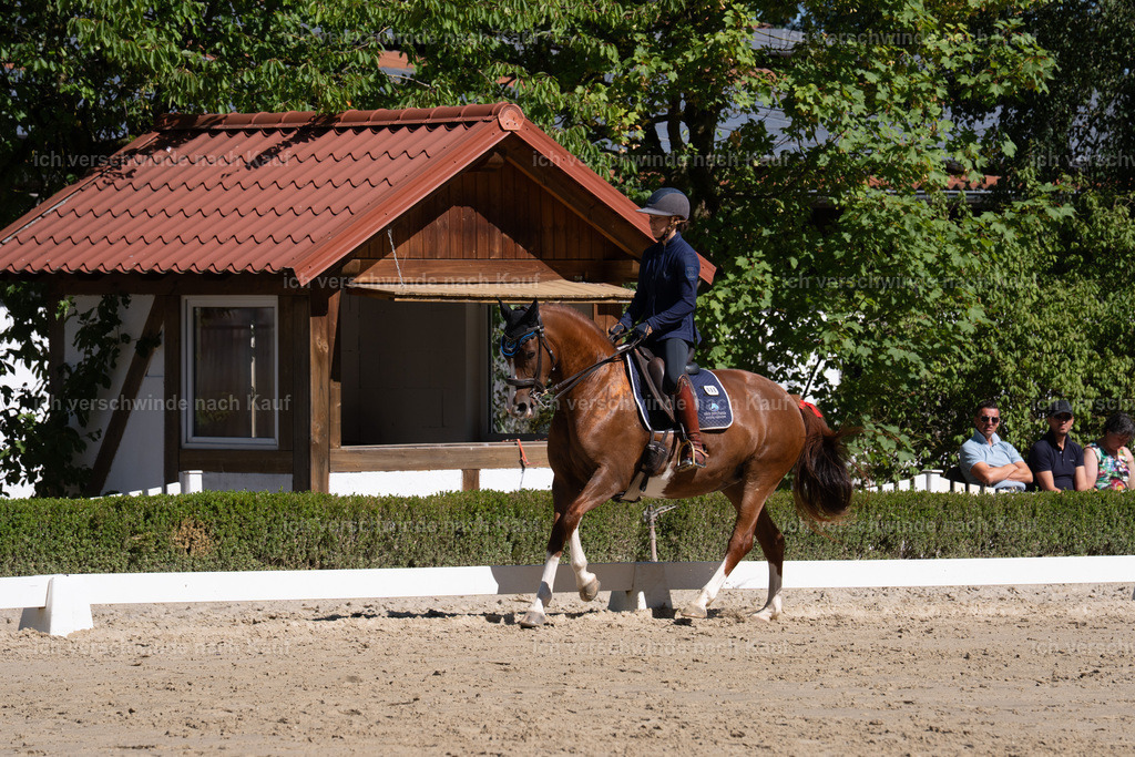 WL_DR_86_sinafilmart_IN06959 | working equitationturnier fotograf videograf stoibphotography marixx film working equitation deutschland reitsport turnierfotografie eventfotografie equestrian events