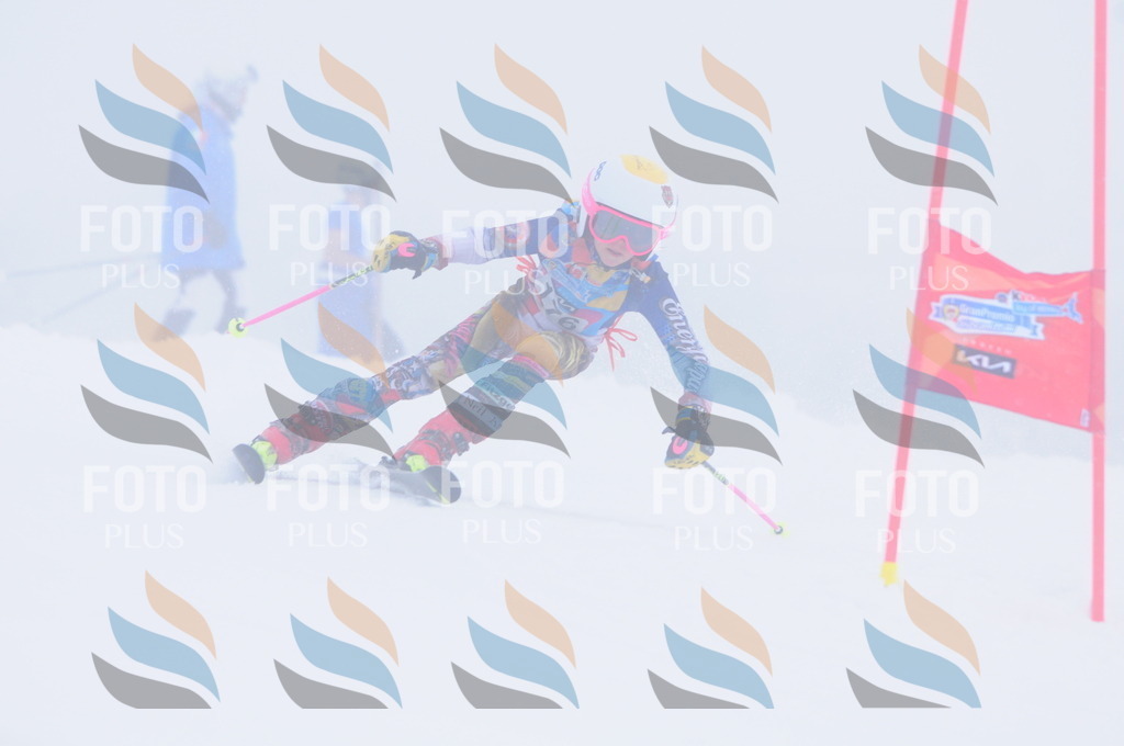 C2035 | holidayphoto