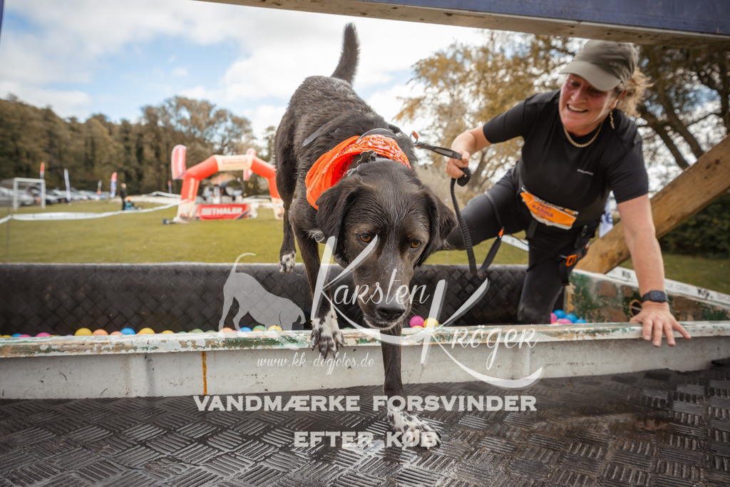 1331_ZZ91129-2 | kk-dogfotos