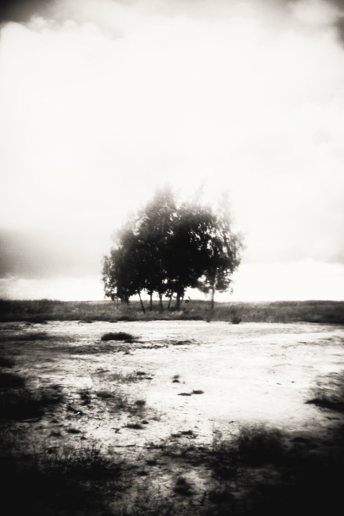 island_17_dorit_fuhg | Stimmungsvolle Fotografien von Dorit Fuhg. Kaufen Sie bequem hochwertige Fine-Art Drucke, Wandbilder und Kalender hier im Online-Shop. - Realisiert mit Pictrs.com