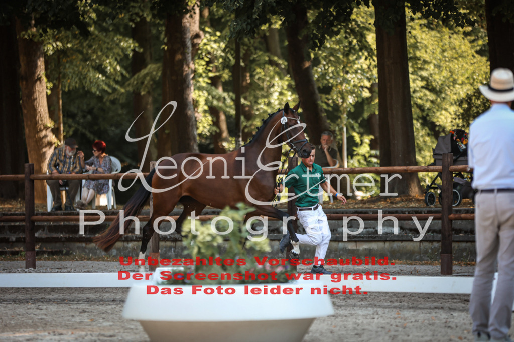 DoER00011 | Leoni Ertmer Photography - Realisiert mit Pictrs.com