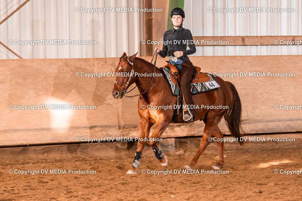 Balingen Tag 2-1590 | dv-media-shop - Realisiert mit Pictrs.com