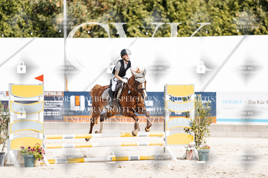 CK906552 | Turnierfotografie Pferdefotografie Trier Rheinland-Pfalz Pferdesport Reitsport Tierfotografie Sportfotografie Pferdevideo Pferdevideografie Equestrianvideography equestrianphotography  - Realisiert mit Pictrs.com