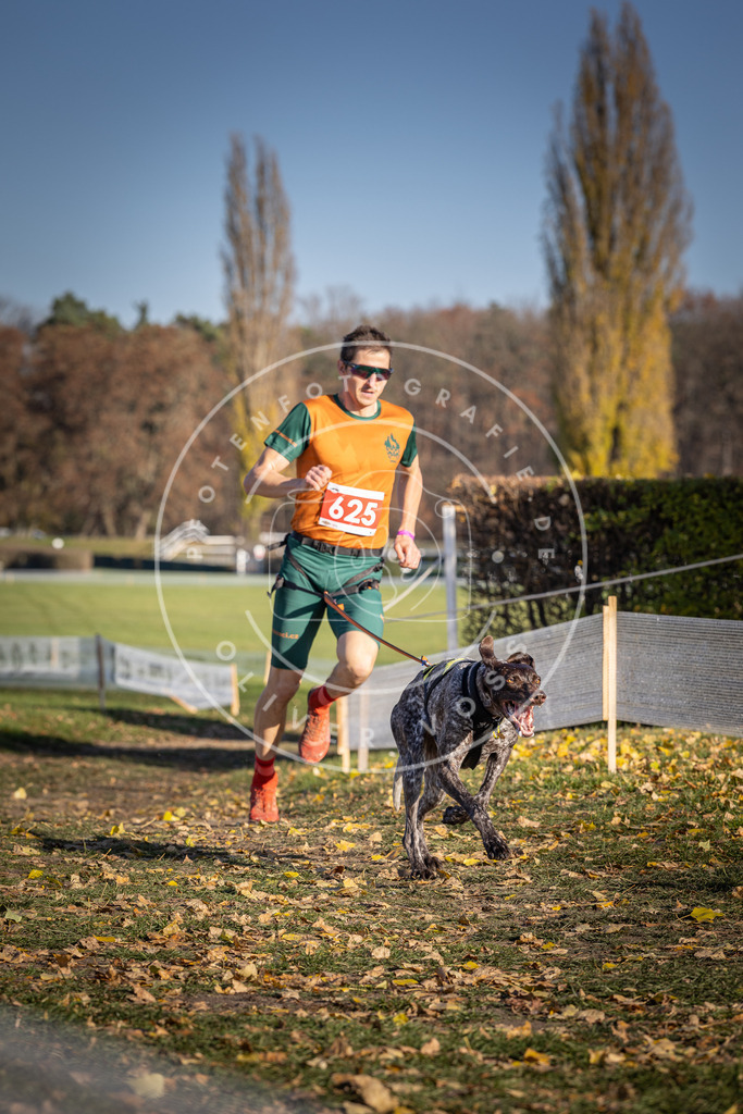 CaniXpix_DV3A9996 | Hundefotografie, Tierfotograf, Pfotenfotografie, Fotoshooting Hund, Hunde Portrait, Hundesport, Hundeportraits, Heideshooting, Hunde, Sportfotograf, Hundefotograf, Turnierhundsport, THS,  - Realisiert mit Pictrs.com