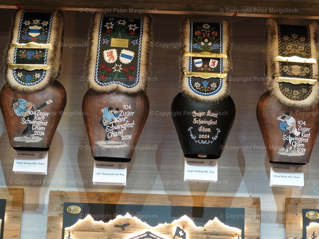 DSC06312 | Schwingen - Realisiert mit Pictrs.com