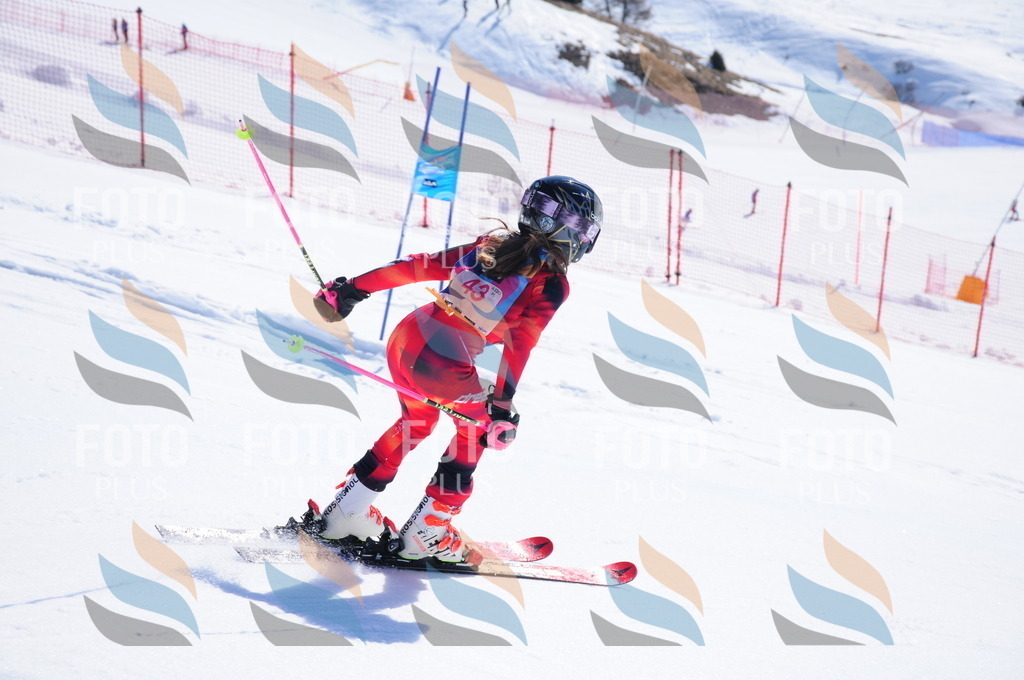 DSC_4102 | holidayphoto