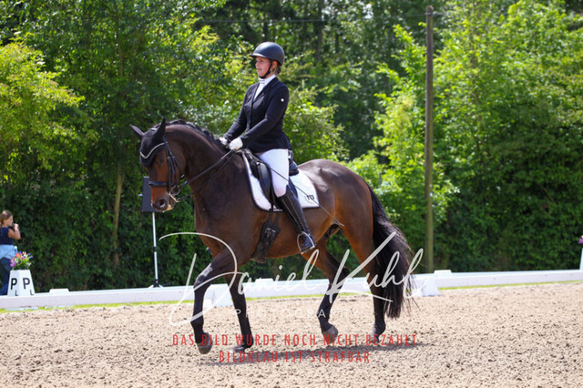 DKP40998 | Turnierfotos kaufen im Webshop von Daniel Kuhl Photography – entdecke professionelle Reitsportfotos aus Turnieren & Events. Hochwertige Turnierbilder online bestellen & sichern. Jetzt Fotos von Reitsportturnieren kaufen!