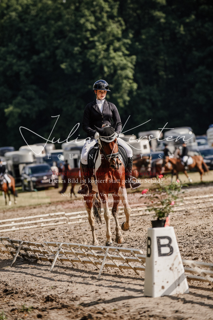 DSC_8807 | Pferde- und Turnierfotografie in Westsachsen. Pferdeportraits, Auftragszeichnungen und intuitive Kunst.