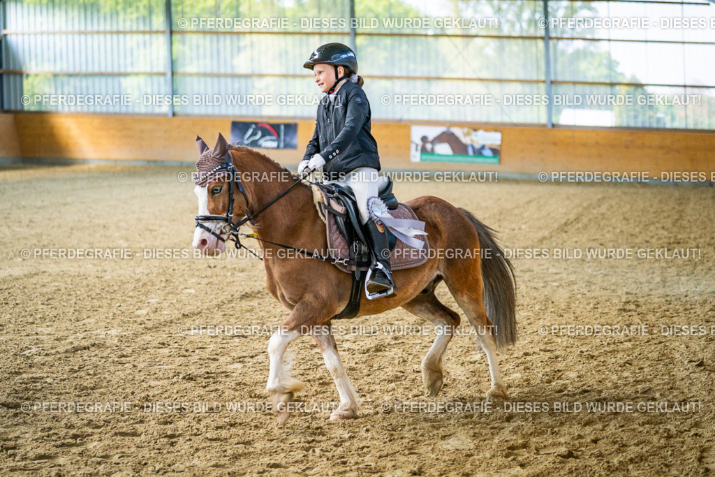 DSC03109 | Pferdegrafie