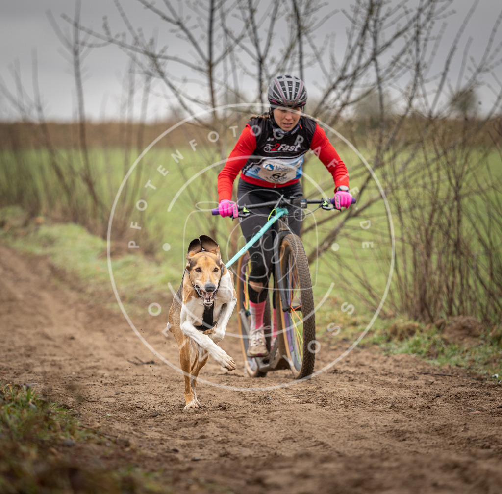 DV3A9148 | Hundefotografie, Tierfotograf, Pfotenfotografie, Fotoshooting Hund, Hunde Portrait, Hundesport, Hundeportraits, Heideshooting, Hunde, Sportfotograf, Hundefotograf, Turnierhundsport, THS,  - Realisiert mit Pictrs.com