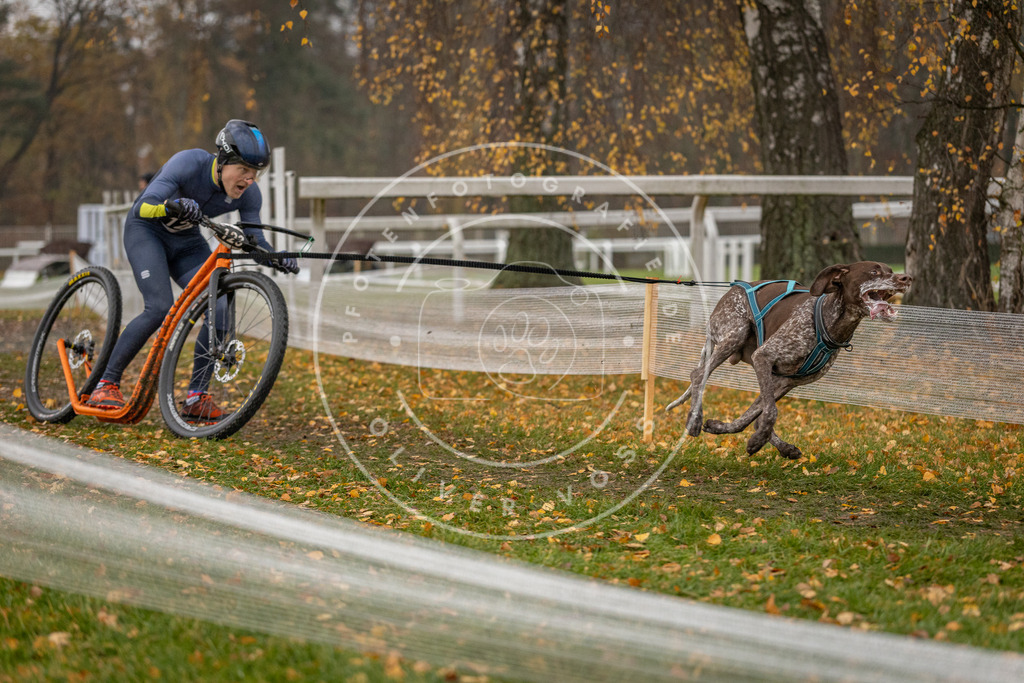 CaniXpix_DV3A7801 | Hundefotografie, Tierfotograf, Pfotenfotografie, Fotoshooting Hund, Hunde Portrait, Hundesport, Hundeportraits, Heideshooting, Hunde, Sportfotograf, Hundefotograf, Turnierhundsport, THS,  - Realisiert mit Pictrs.com