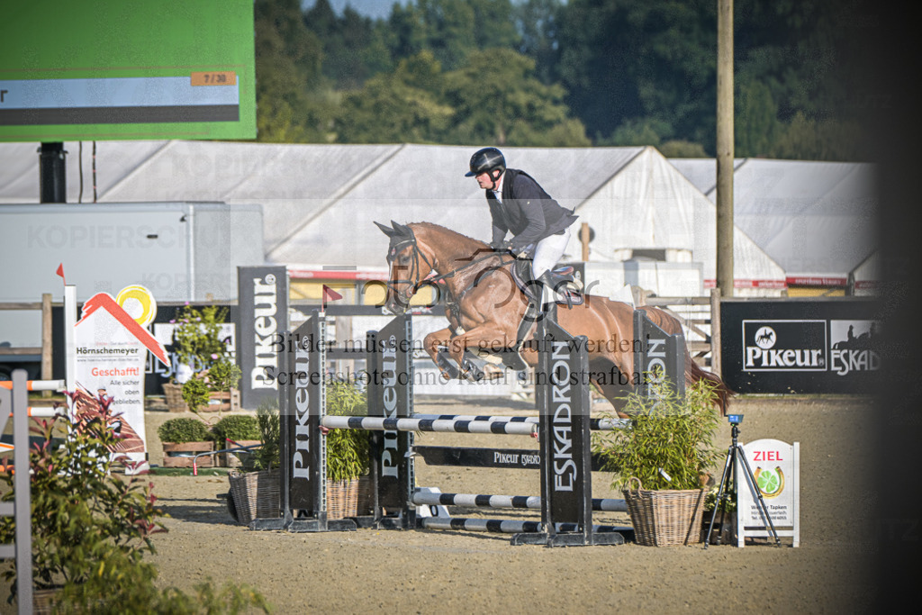 DOS_7476 | Entdecke hochwertige Reitturnierfotos von Foto Oger. Professionell, emotional und authentisch – jetzt Lieblingsmomente im Shop bestellen.Deutschlandweite Turnierfotografie. - Realisiert mit Pictrs.com