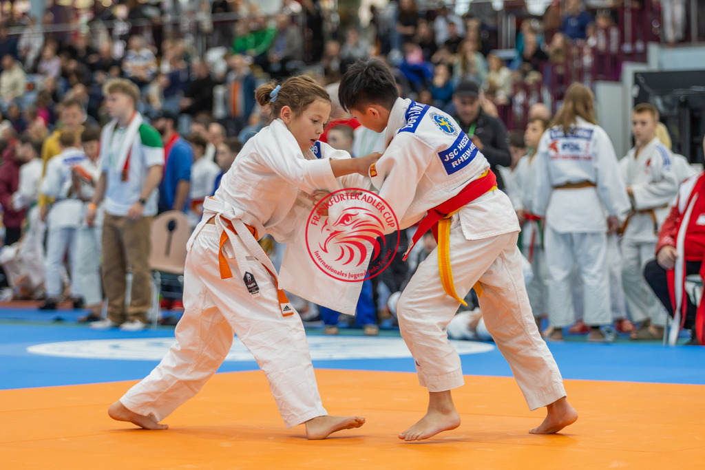 Internationaler Adler Cup 2024 | Foto vom Internationalen Adler Cup Judo Turnier im Sport- und Freizeitzentrum Kalbach im Oktober 2024 - Realisiert mit Pictrs.com