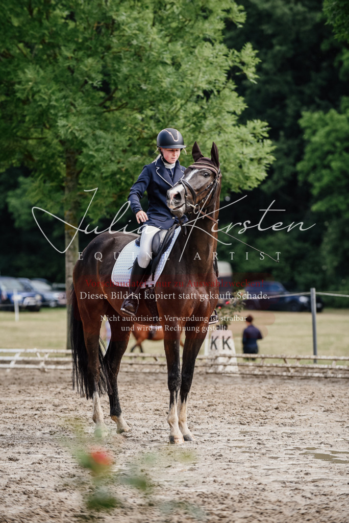 DSC_0065 | Pferde- und Turnierfotografie in Westsachsen. Pferdeportraits, Auftragszeichnungen und intuitive Kunst.