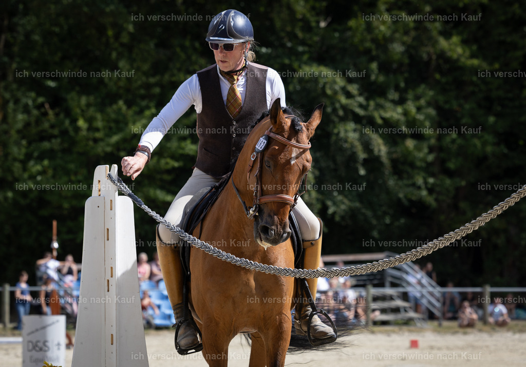 WS_SPEED62_KerstinBernhardt-9 | working equitationturnier fotograf videograf stoibphotography marixx film working equitation deutschland reitsport turnierfotografie eventfotografie equestrian events