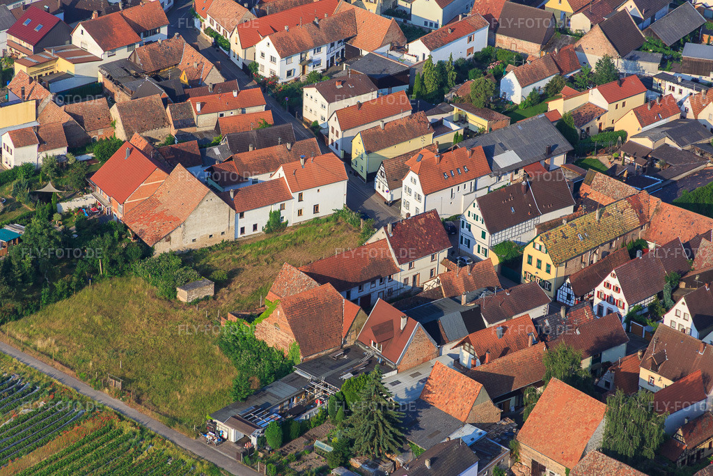 Luftbild: Pfalzstr in Zeiskam im Bundesland Rheinland-Pfalz in Deutschland. Foto: IMG_080629.jpg vom 12.06.2015 durch Werner Riehm/FLY-FOTO.de