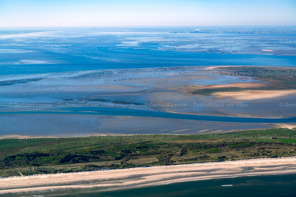 3801447 | Juist, Nationalpark Niedersächsisches Wattenmeer