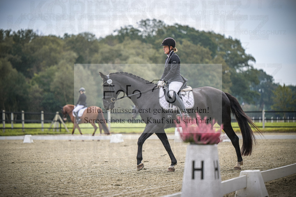 DOS_B364 | Entdecke hochwertige Reitturnierfotos von Foto Oger. Professionell, emotional und authentisch – jetzt Lieblingsmomente im Shop bestellen.Deutschlandweite Turnierfotografie. - Realisiert mit Pictrs.com