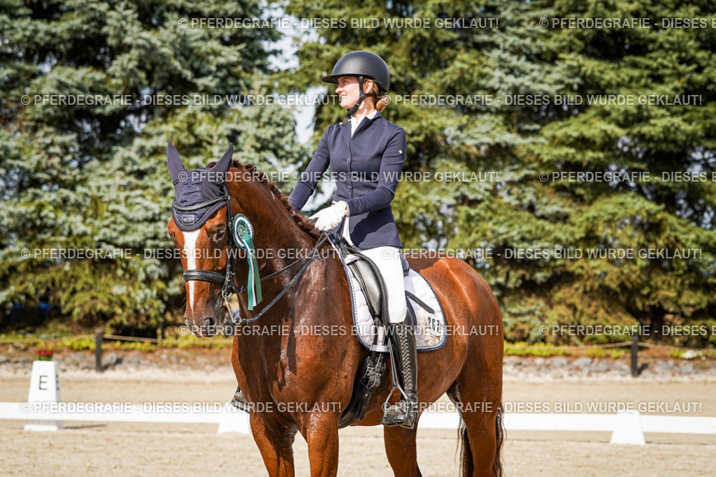 DSC07576 | Pferdegrafie