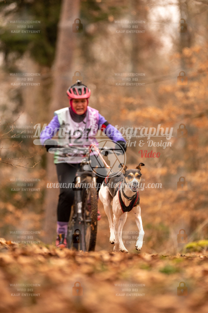 AKM_ST_2023_SAM_Bike-166 | PayLife