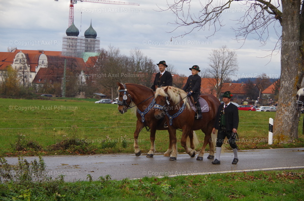 IMGP0420 | fotografiert von Axel PollmannLeonhardi Wallfahrt Benediktbeuern und Murnau, Fronleichnam, Fasching, Landschaft im Loisachtal und Benediktbeuern  - Realisiert mit Pictrs.com