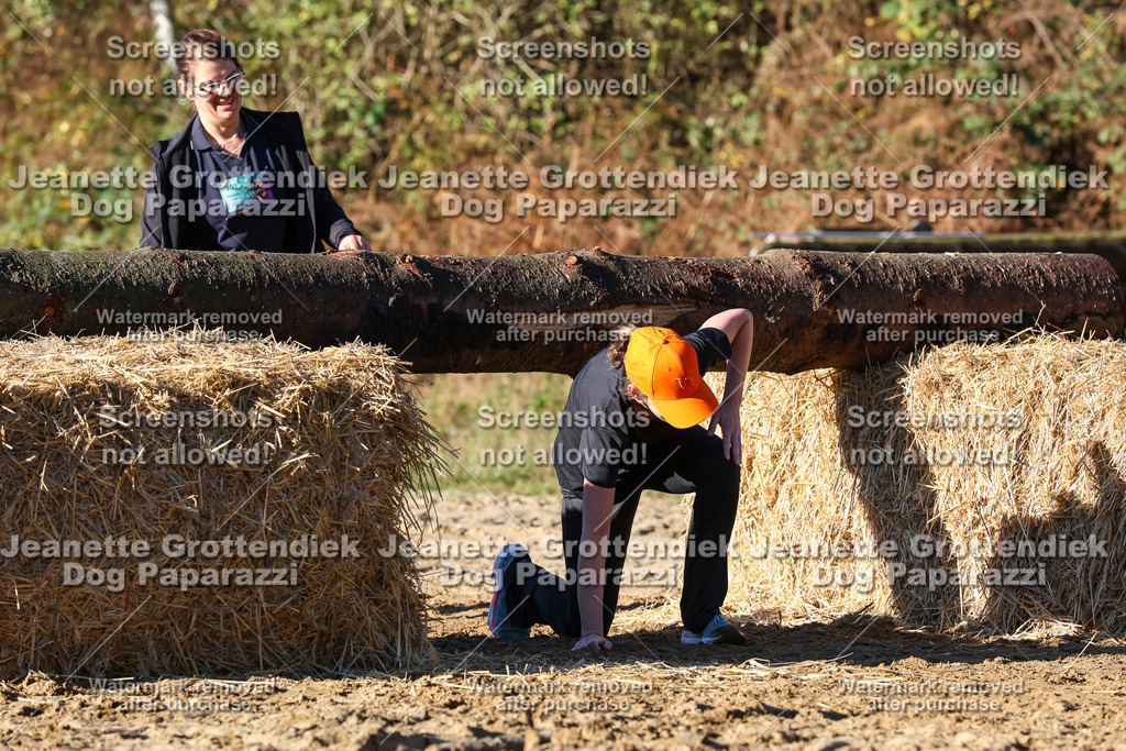 Dog Paparazzi - Strongdog 10-25-1525 | Dog Paparazzi Jeanette Grottendiek Fotografie & Videografie - Realisiert mit Pictrs.com