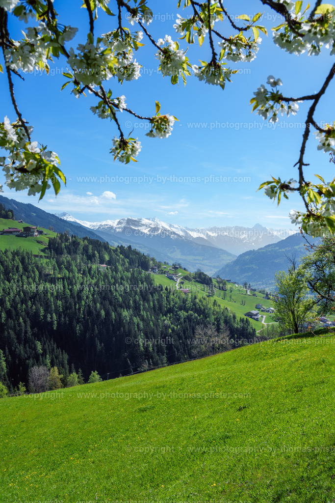 Gatttererberg Frühling Blick zum Stummerberg copyright  Thomas Pfister-1 | PHOTOGRAPHY BY THOMAS PFISTER