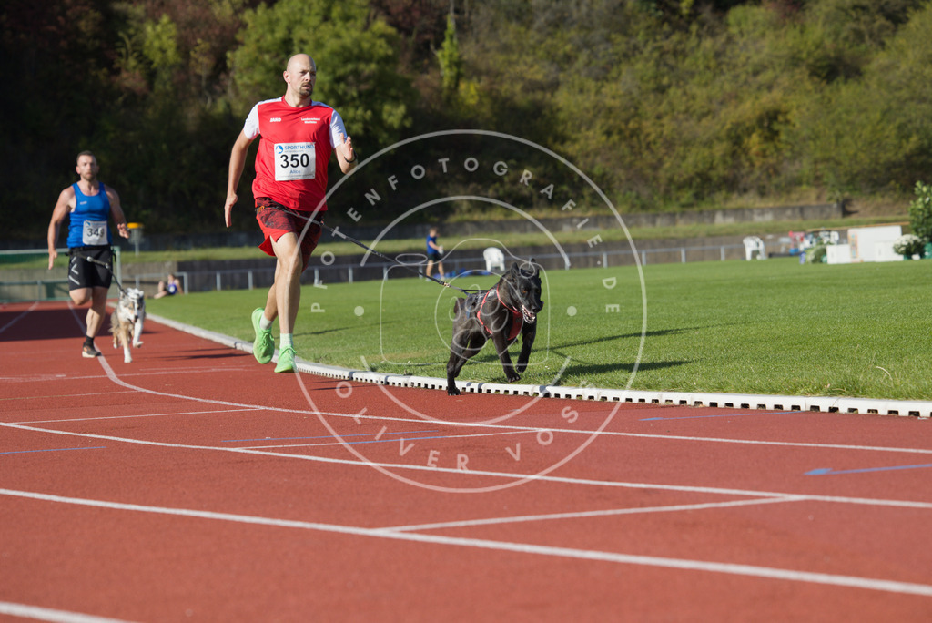 0L8A9735 | Hundefotografie, Tierfotograf, Pfotenfotografie, Fotoshooting Hund, Hunde Portrait, Hundesport, Hundeportraits, Heideshooting, Hunde, Sportfotograf, Hundefotograf, Turnierhundsport, THS,  - Realisiert mit Pictrs.com