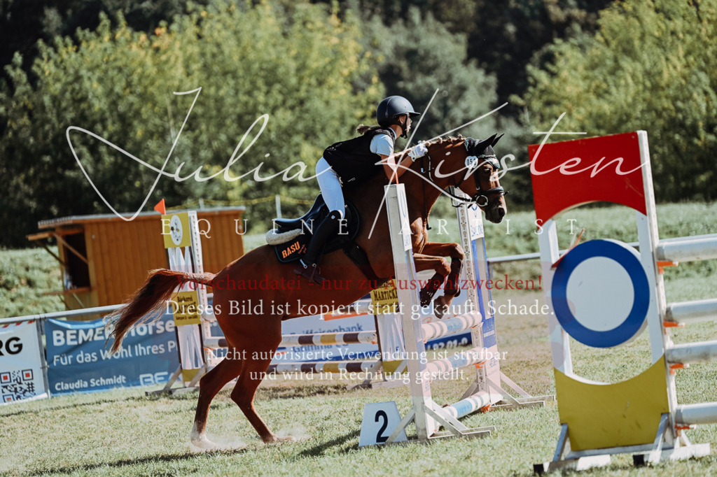 DSC_6846 | Pferde- und Turnierfotografie in Westsachsen. Pferdeportraits, Auftragszeichnungen und intuitive Kunst.