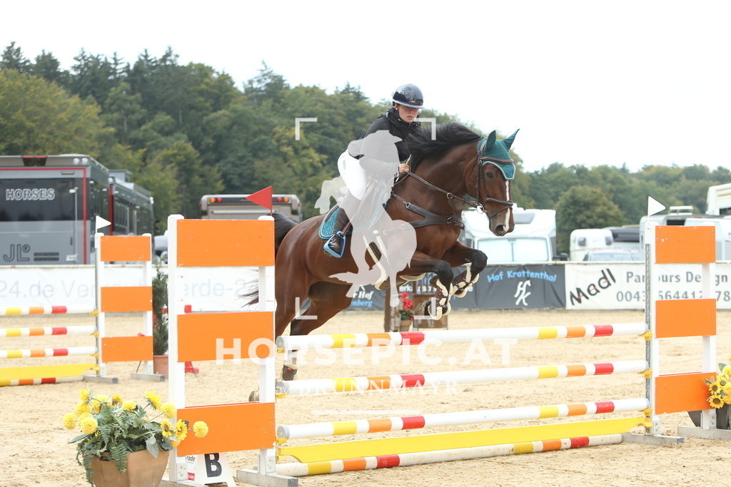 DL2Q6432 | Willkommen bei Brunnmayr - Design & Fotografie – Ihrem Spezialisten für Reitturniere und Pferdeveranstaltungen in Oberösterreich, Salzburg und Bayern! Seit über 17 Jahren sind wir leidenschaftlich dabei.