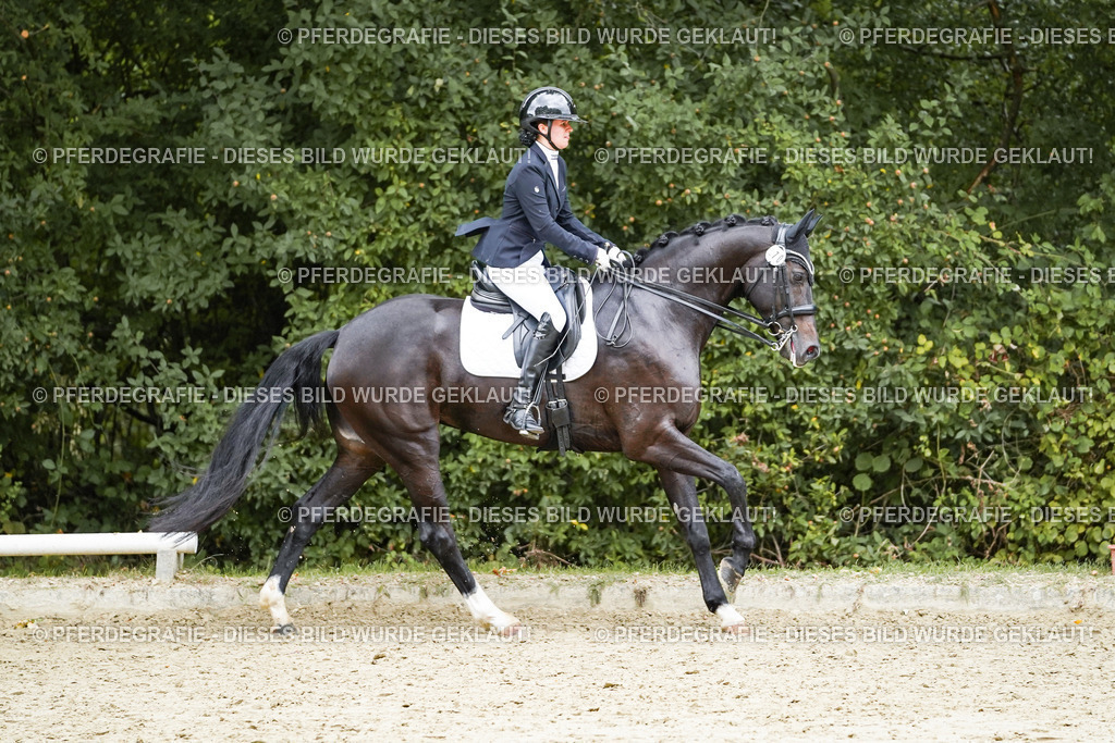 DSC07099 | Pferdegrafie